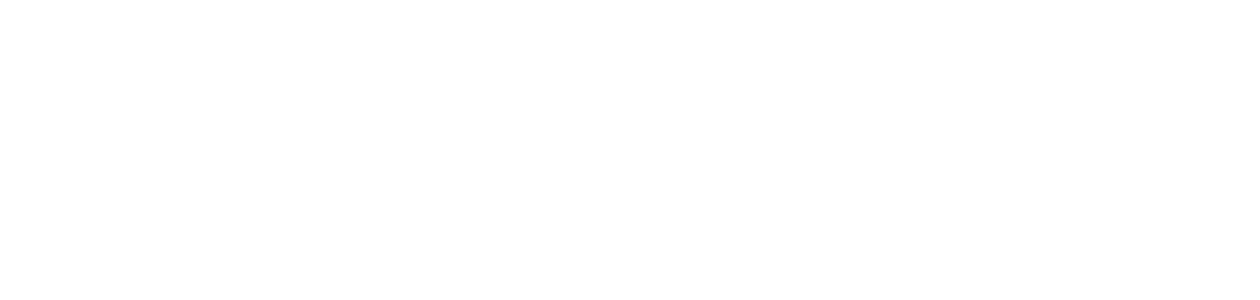 천년의학 한의약소재를 기반으로 새로운 약물개발과 약물전달 시스템 프리모순환계 기술을 구현하는 바이오 R&D 개발